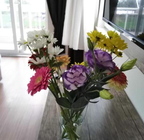 اتاق خانوادگی, Sarp Hotel Kadriye