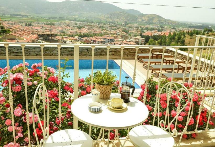 اتاق لوکس, Vinifera Ephesus