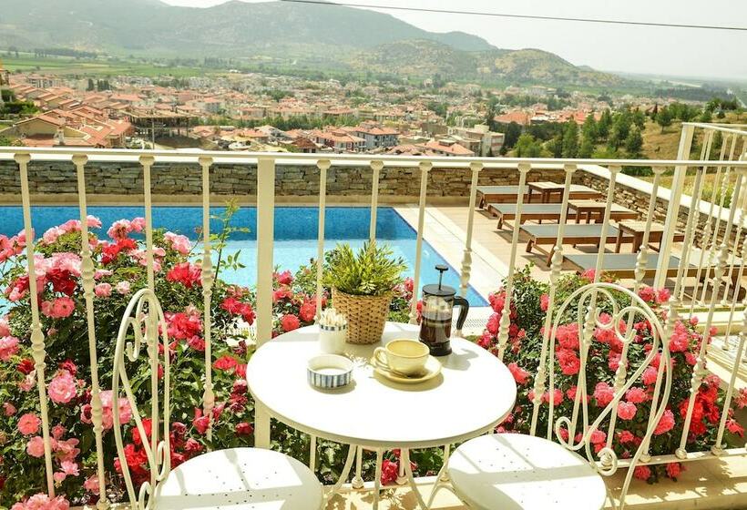 اتاق لوکس, Vinifera Ephesus