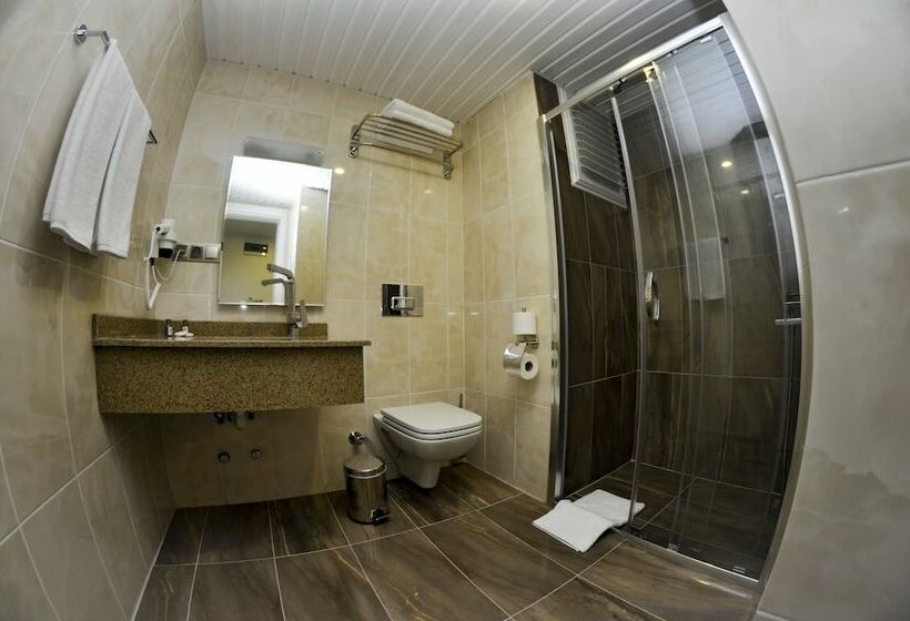 اتاق استاندارد, Ozyigit Otel