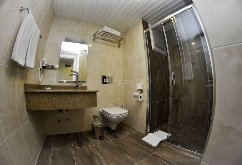 اتاق استاندارد یک نفره, Ozyigit Otel