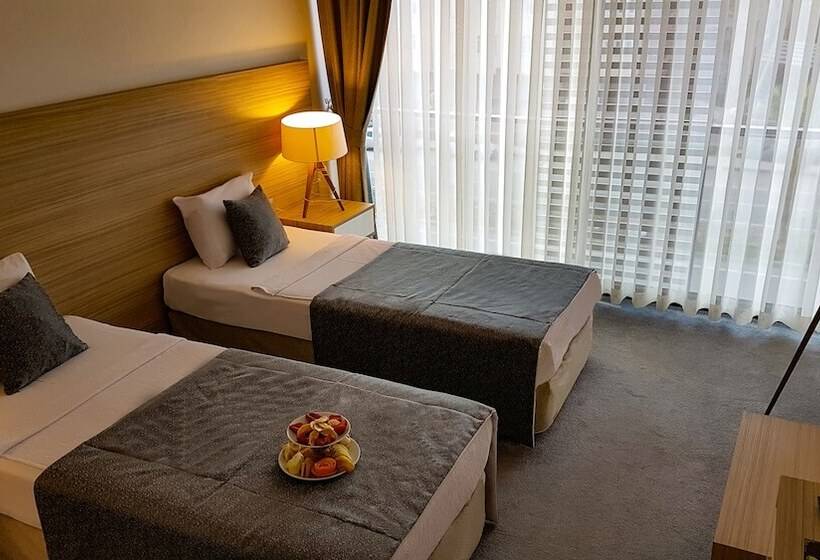 اتاق استاندارد یک نفره, Ozyigit Otel