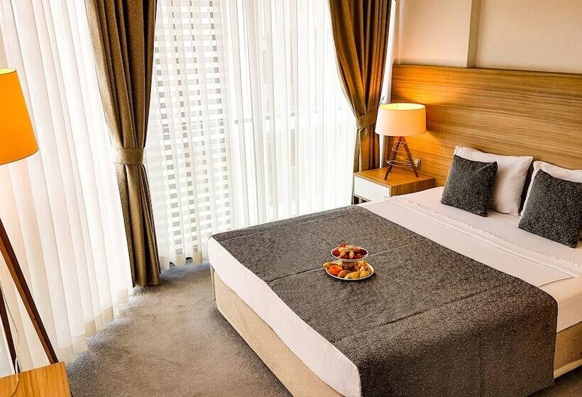 اتاق استاندارد یک نفره, Ozyigit Otel
