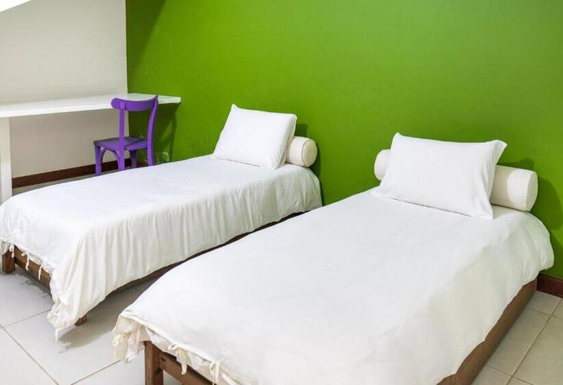 استودیو خانوادگی, Bomtempo Ii Chales By Castelo Itaipava