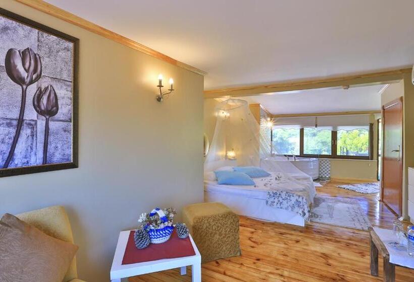 Deluxe room with river view, Mints Hotel   Adult Only