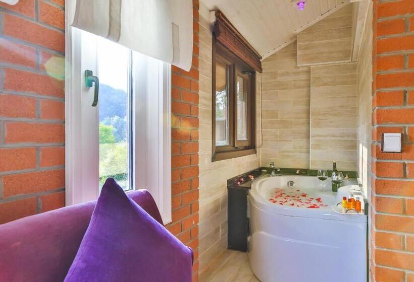 اتاق استاندارد با وان آب گرم, Mints Hotel Adult Only