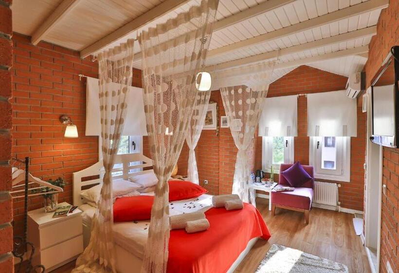 اتاق استاندارد با وان آب گرم, Mints Hotel   Adult Only