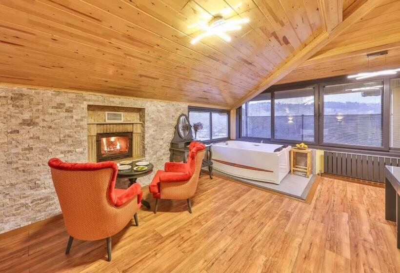 اتاق استاندارد, Mints Hotel Adult Only