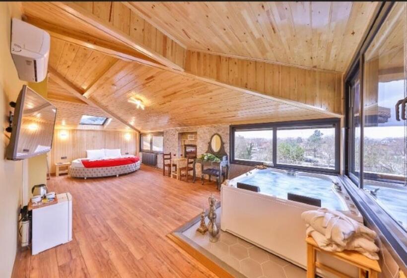 اتاق استاندارد, Mints Hotel Adult Only