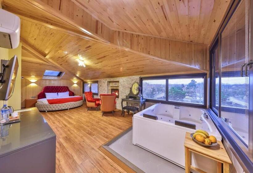 اتاق استاندارد, Mints Hotel Adult Only