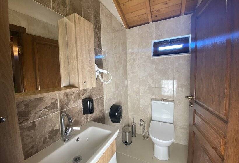 اتاق خانوادگی, Bagban Bozcaada