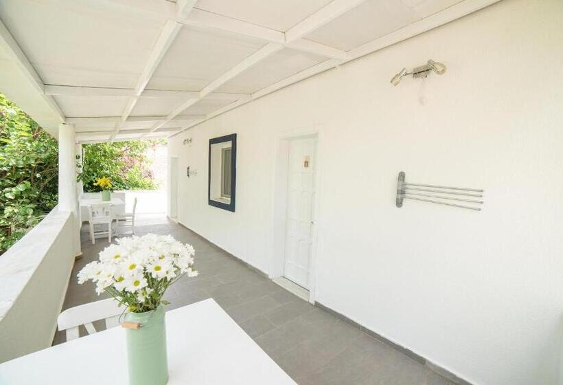 חדר סטנדרט לשלושה, Madda