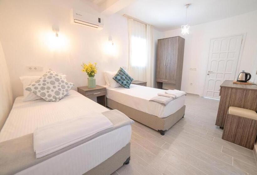 חדר סטנדרט, Madda