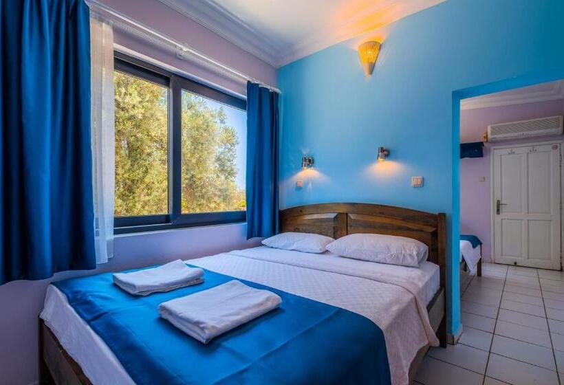 اتاق استاندارد چهارنفره با چشم‌انداز باغ, Selim Pansiyon   Adults Only