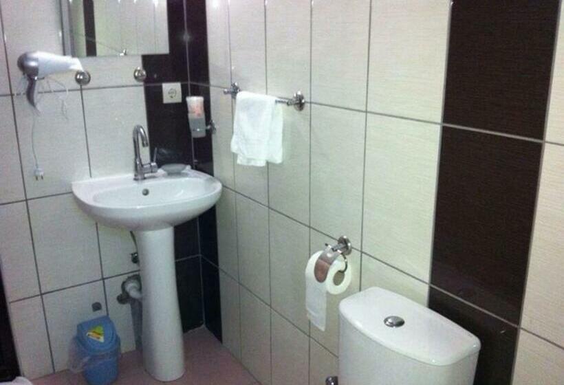 اتاق استاندارد, Anatolia