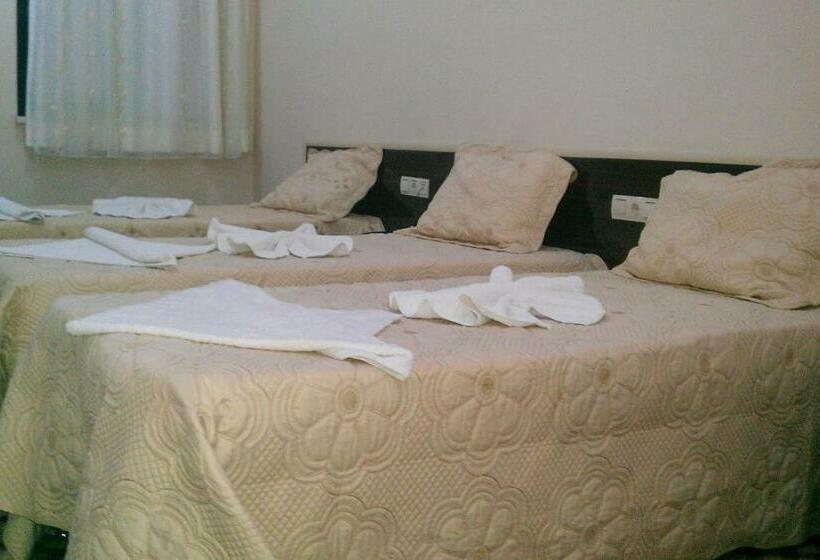 اتاق استاندارد سه نفره, Anatolia