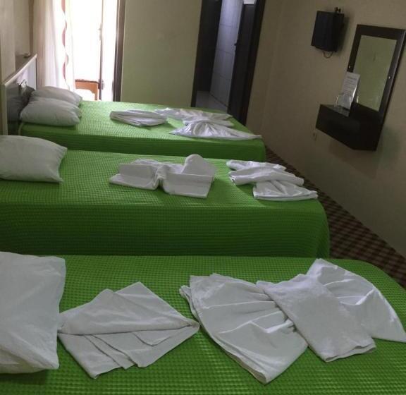 اتاق استاندارد سه نفره, Anatolia