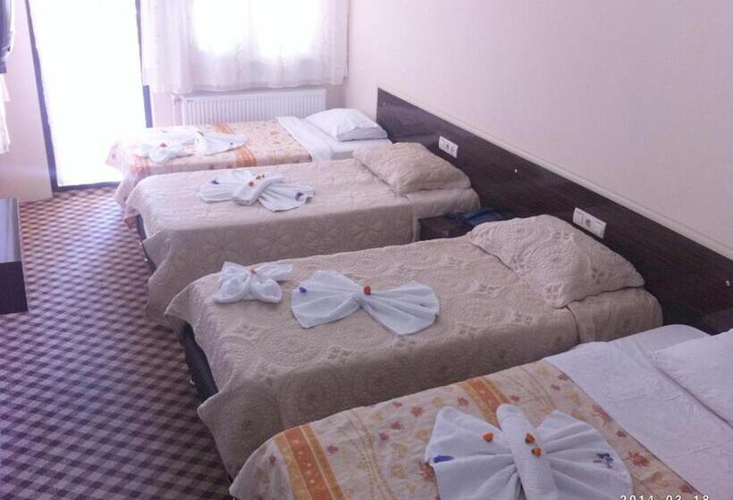 اتاق استاندارد چهار تخته, Anatolia