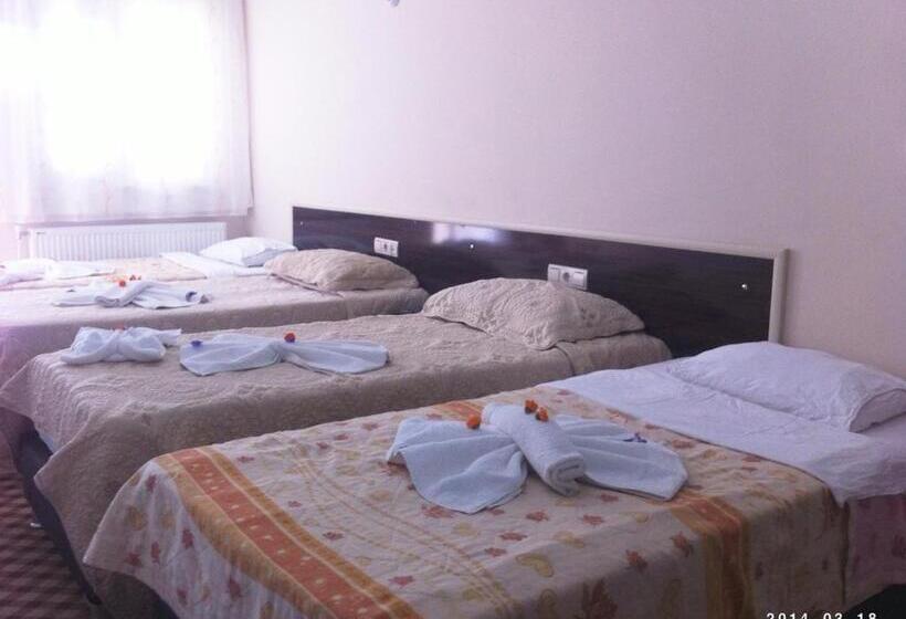 اتاق استاندارد چهار تخته, Anatolia