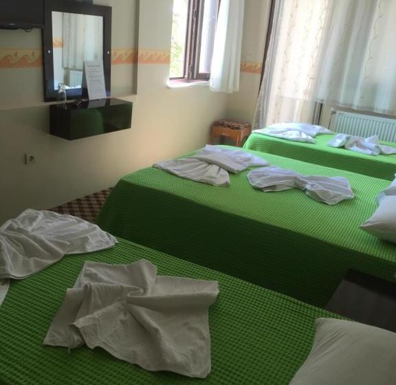 اتاق استاندارد چهار تخته, Anatolia