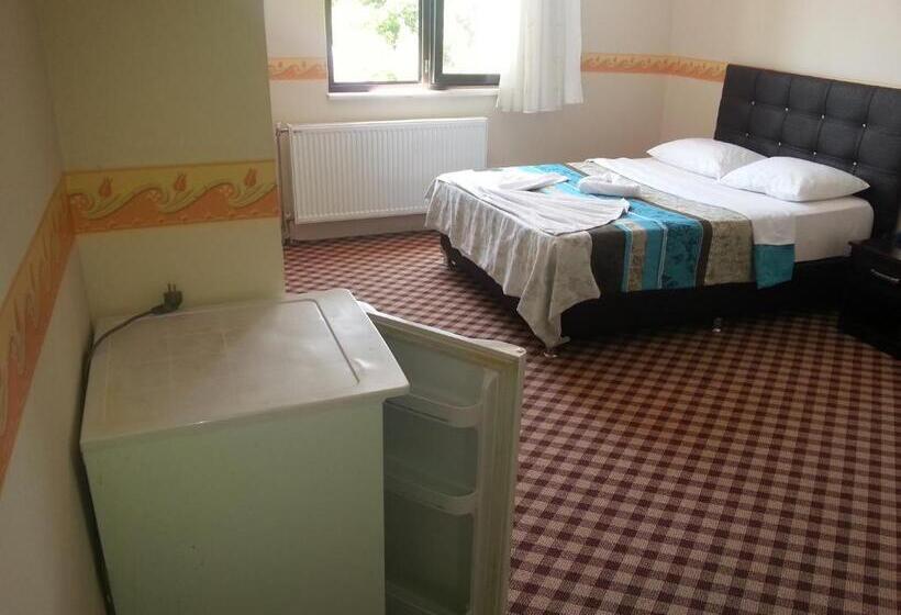 اتاق خانوادگی, Anatolia