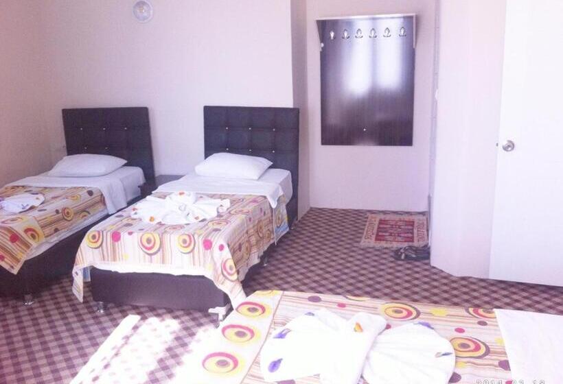 اتاق خانوادگی, Anatolia