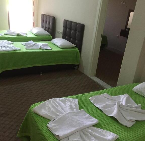 اتاق خانوادگی, Anatolia