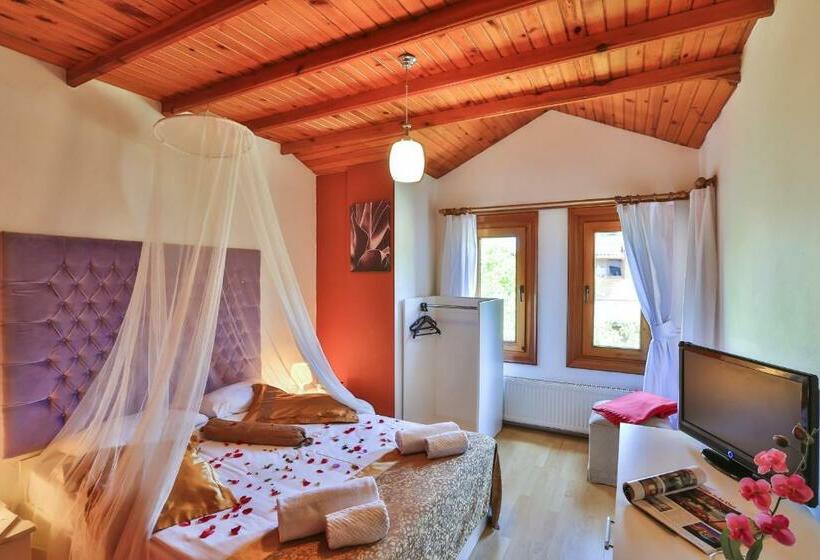 اتاق استاندارد, Mints Hotel Adult Only