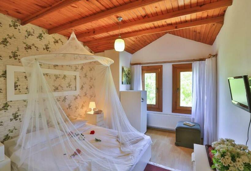 اتاق استاندارد, Mints Hotel Adult Only