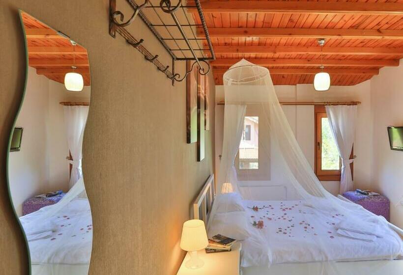 اتاق استاندارد, Mints Hotel Adult Only