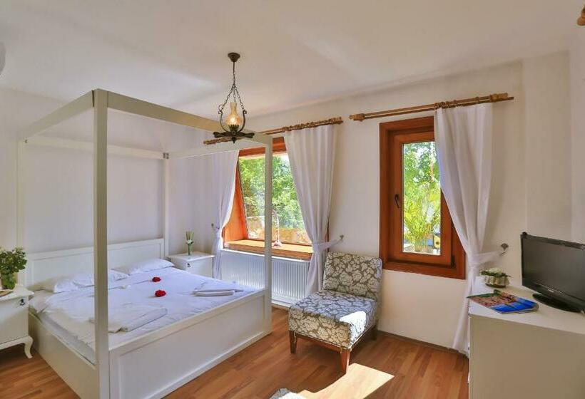 اتاق استاندارد, Mints Hotel Adult Only