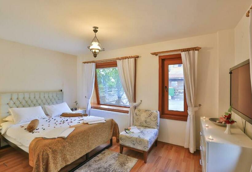 اتاق استاندارد, Mints Hotel Adult Only