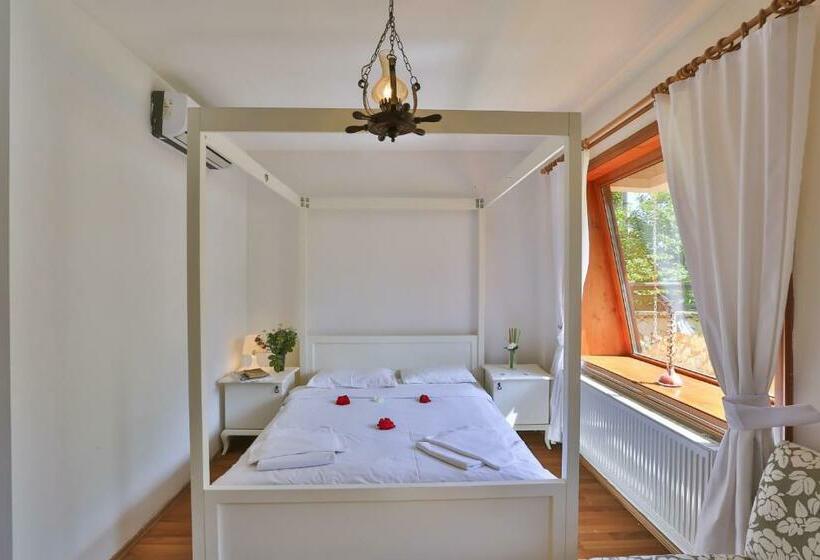 اتاق استاندارد, Mints Hotel Adult Only