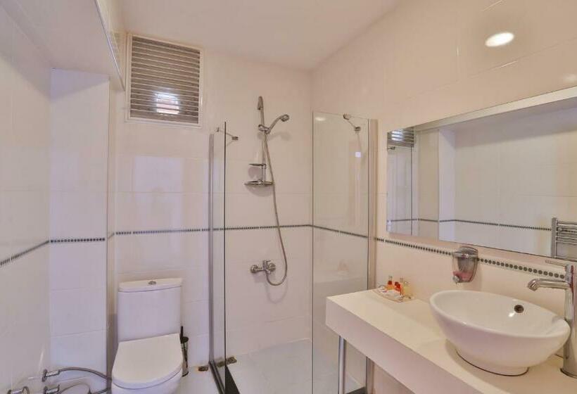 اتاق استاندارد, Mints Hotel Adult Only