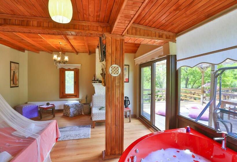 اتاق استاندارد با تراس, Mints Hotel Adult Only