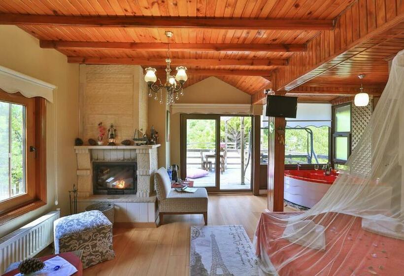 اتاق استاندارد با تراس, Mints Hotel Adult Only