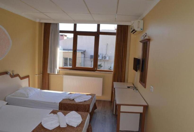 اتاق اکونومی, Ayvalık Palas