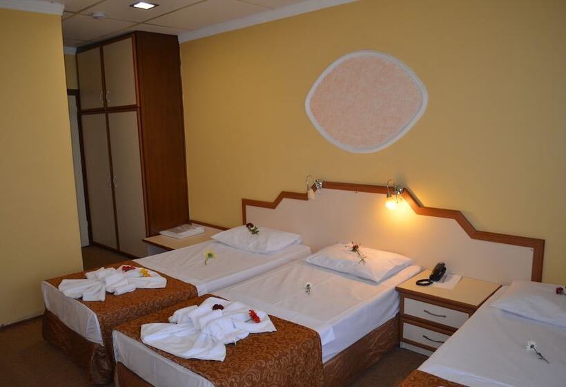 اتاق استاندارد سه نفره, Ayvalık Palas