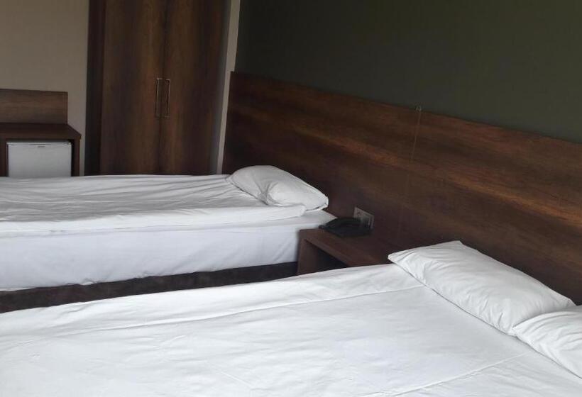 스탠다드 싱글 룸, Baykara