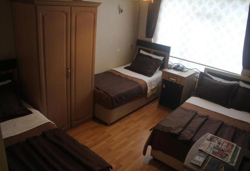 غرفة قياسية ثلاثية, Aydogan