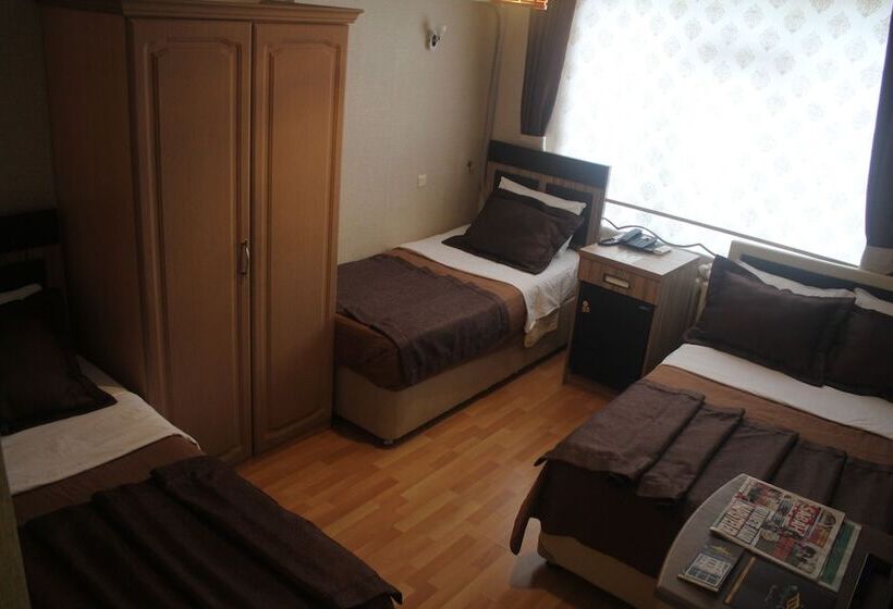 غرفة قياسية ثلاثية, Aydogan