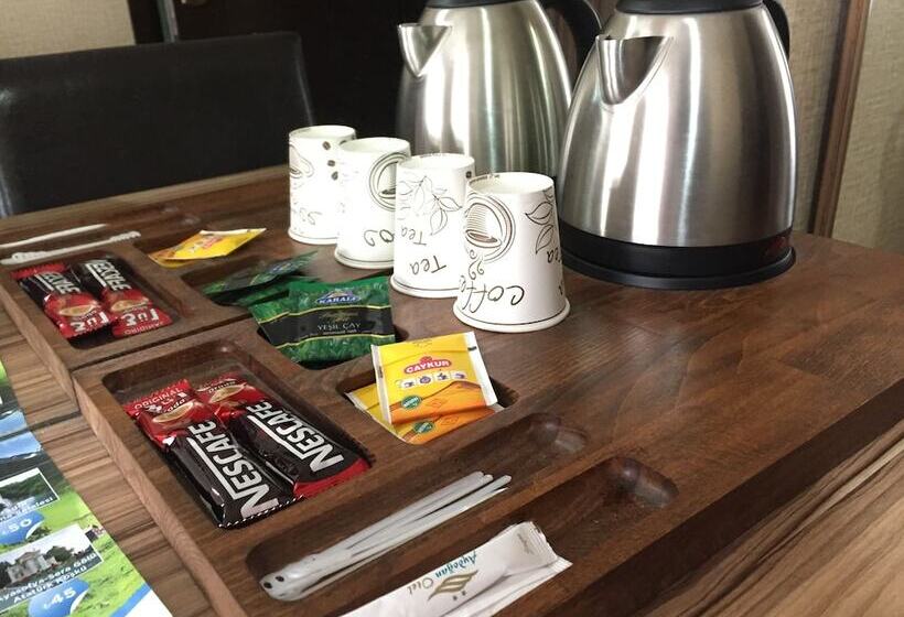 غرفة قياسية ثلاثية, Aydogan