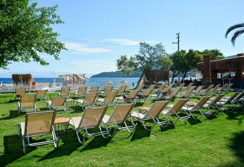 스탠다드 트리플 룸, Daphnis