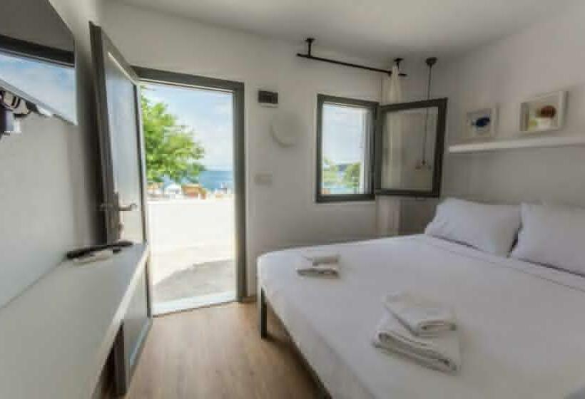 スタンダードルーム, Daphnis