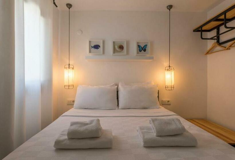 スタンダードルーム, Daphnis