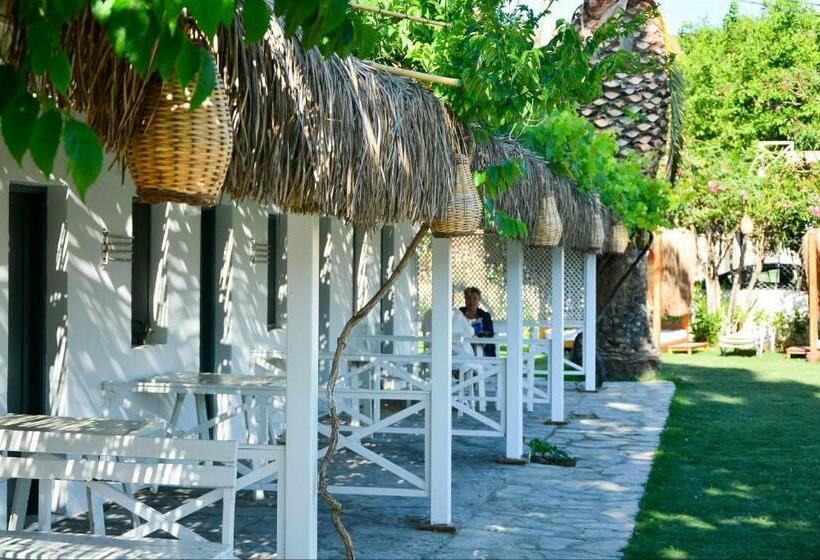 スタンダードトリプルルーム, Daphnis