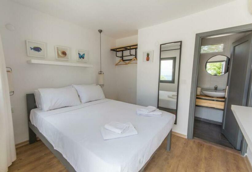 スタンダードルーム, Daphnis