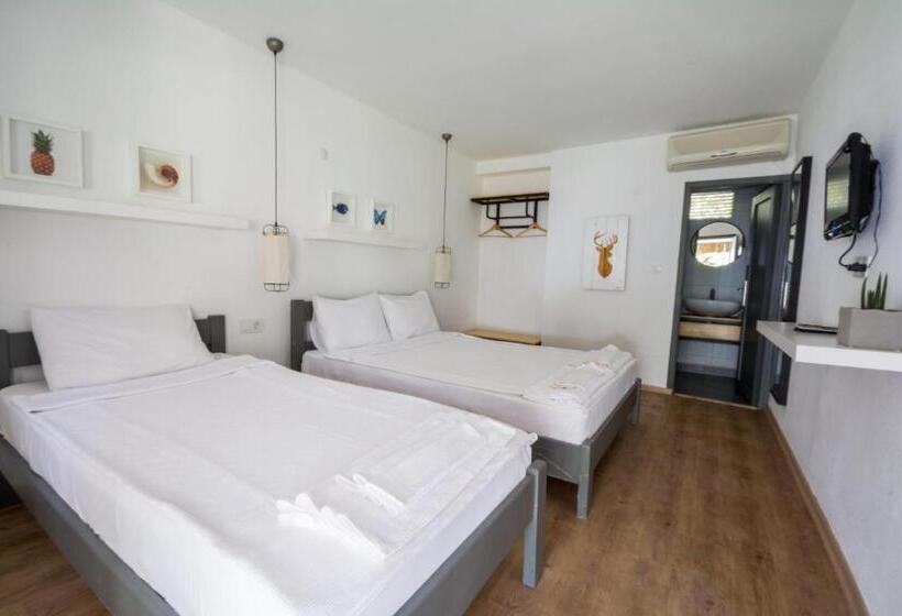 スタンダードトリプルルーム, Daphnis