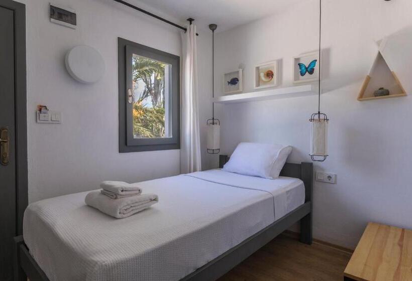 スタンダードシングルルーム, Daphnis