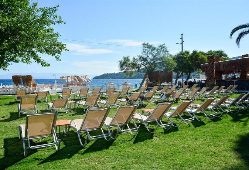 スタンダード４人部屋, Daphnis